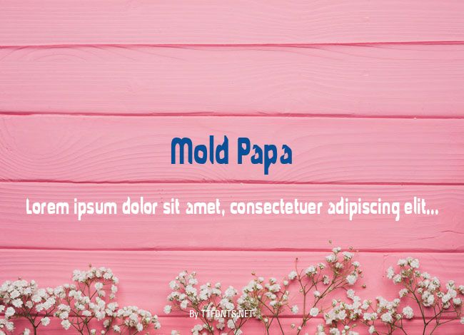 Mold Papa example